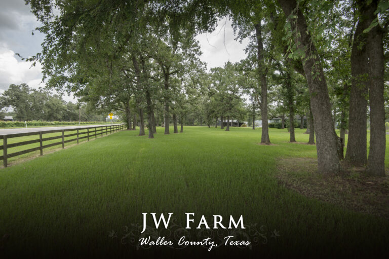 JW Farm- 39159 Farm to Market 1488