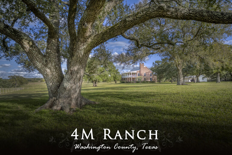 4M Ranch- 11380 FM 50