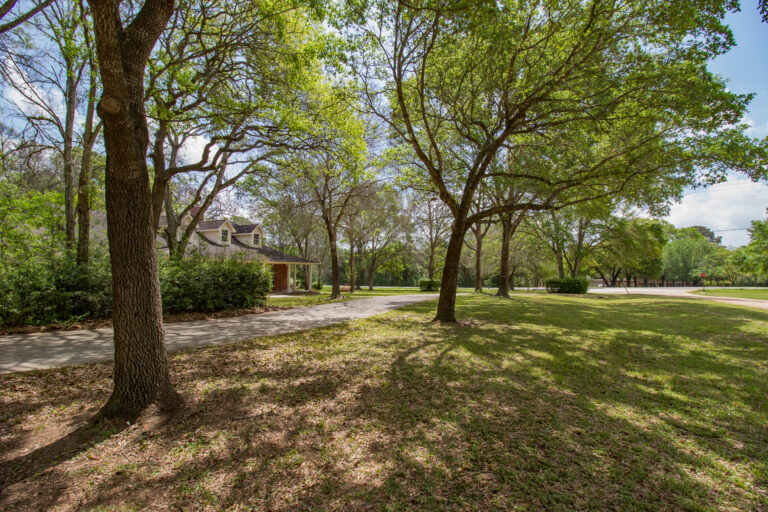 Front yard with trees, shade, and driveway