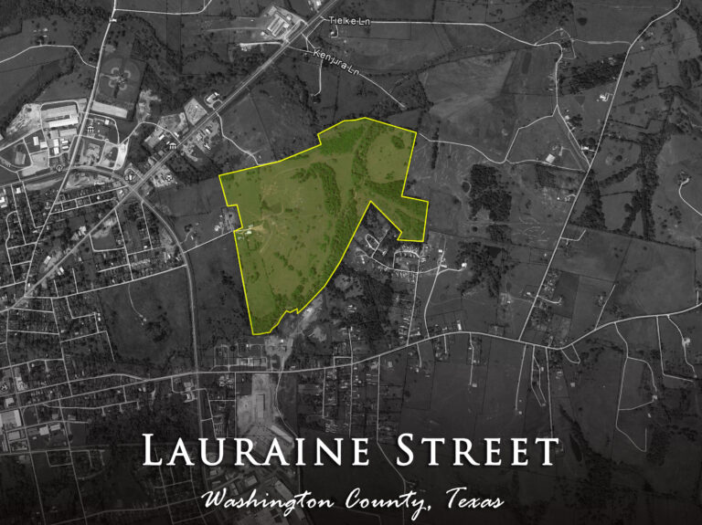 Lauraine Street Map Washington County Texas
