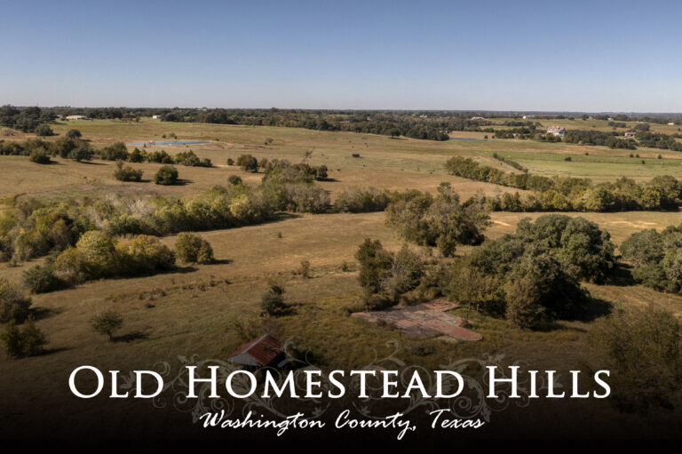 Old Homestead Hills- Oil Field Road