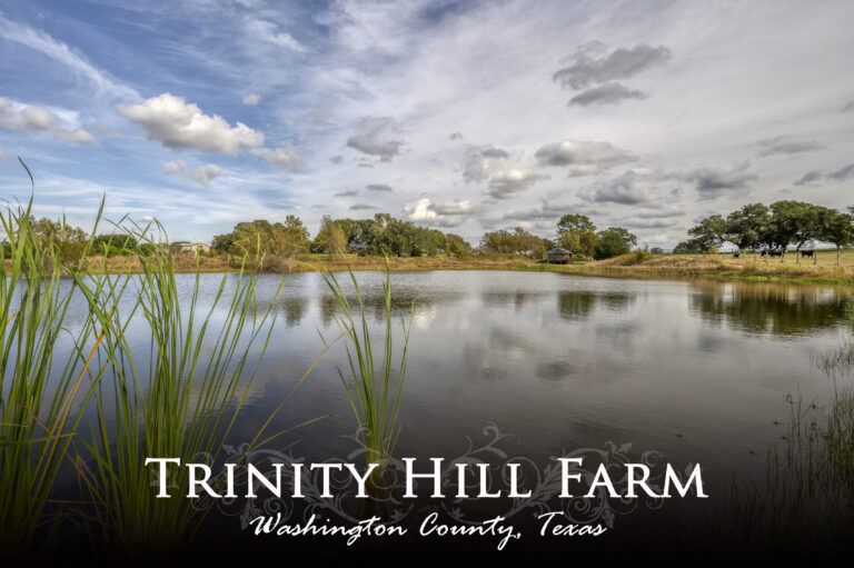 Trinity Hill Farm- 9539 FM 2621