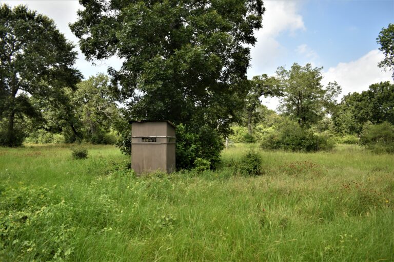 Circle V Ranch- Austin County