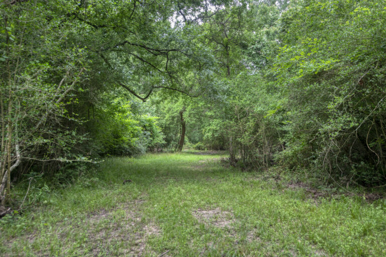 Circle V Ranch- Austin County