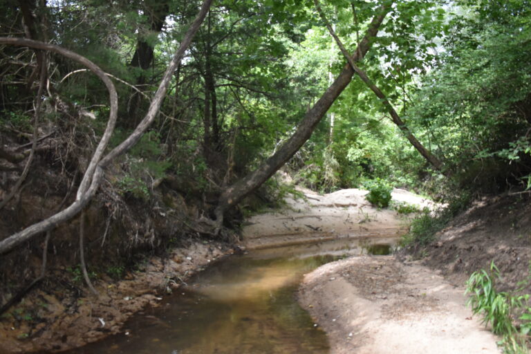Circle V Ranch- Austin County