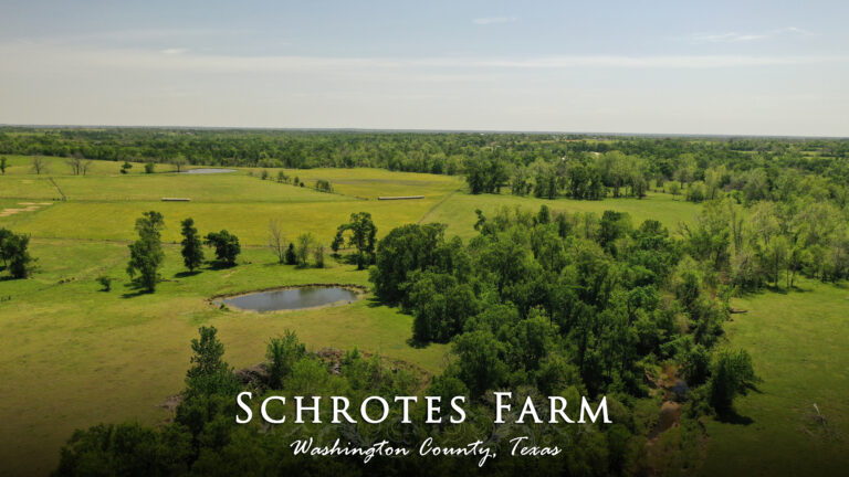 Schrotes Farm-19630 FM 1155
