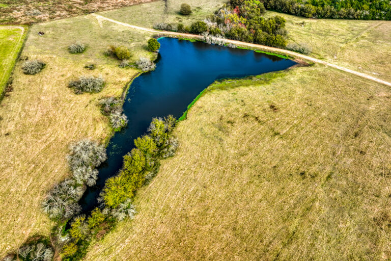 Bluebonnet Ridge Heritage Estates