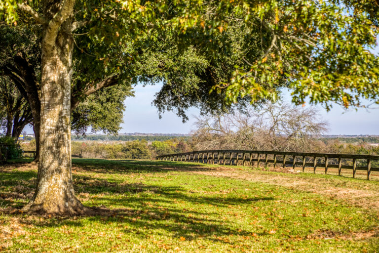 Bluebonnet Ridge Heritage Estates