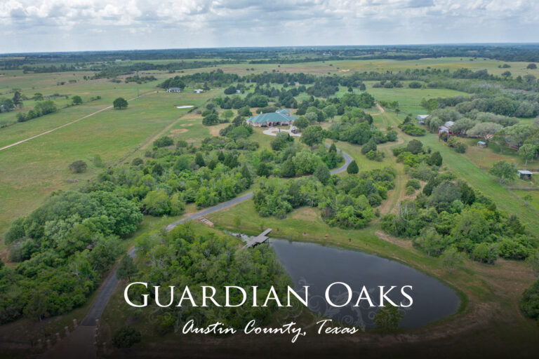 Guardian Oaks- 8833 Gosler Rd