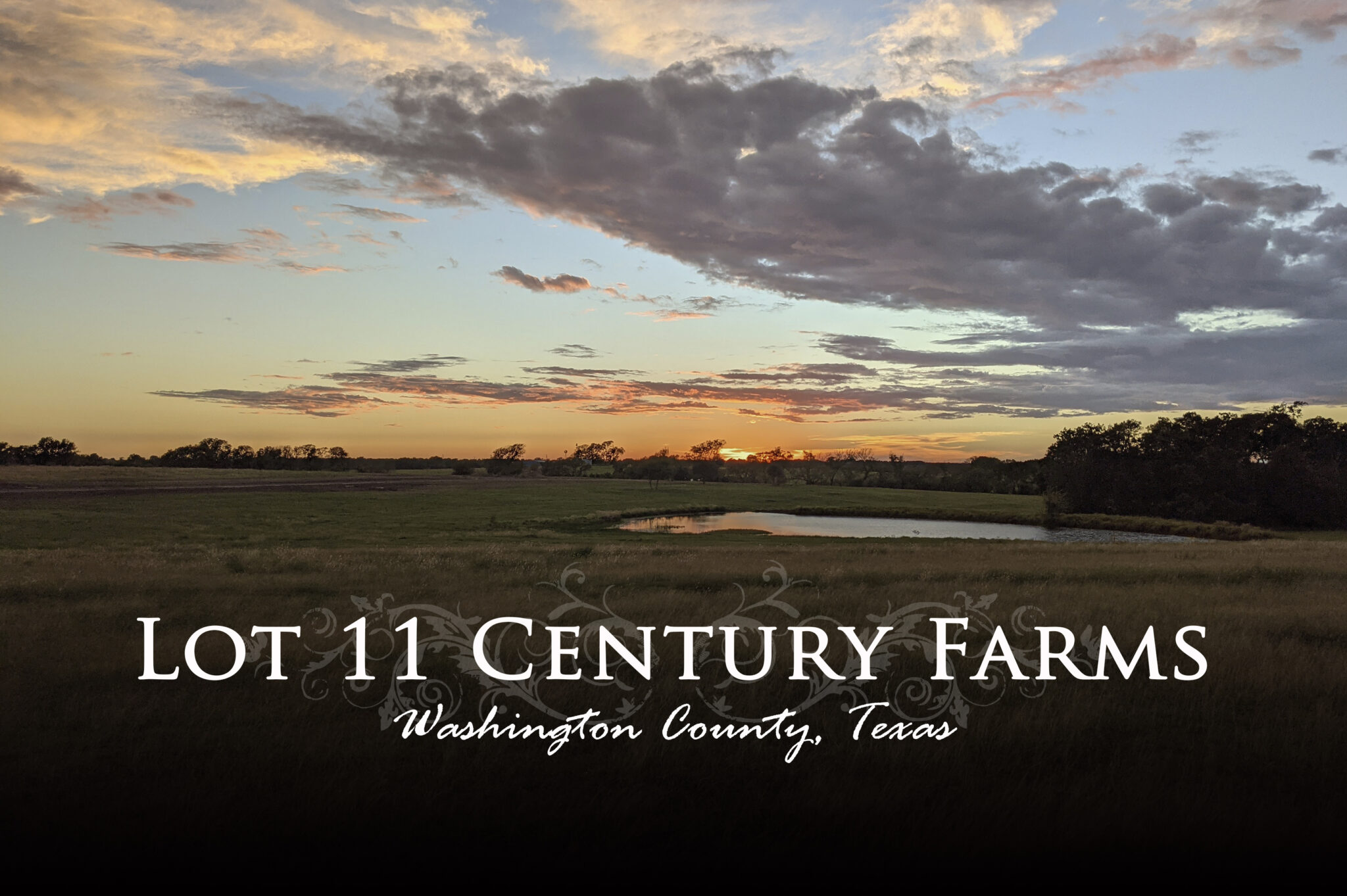 Lot 11 Century Farms