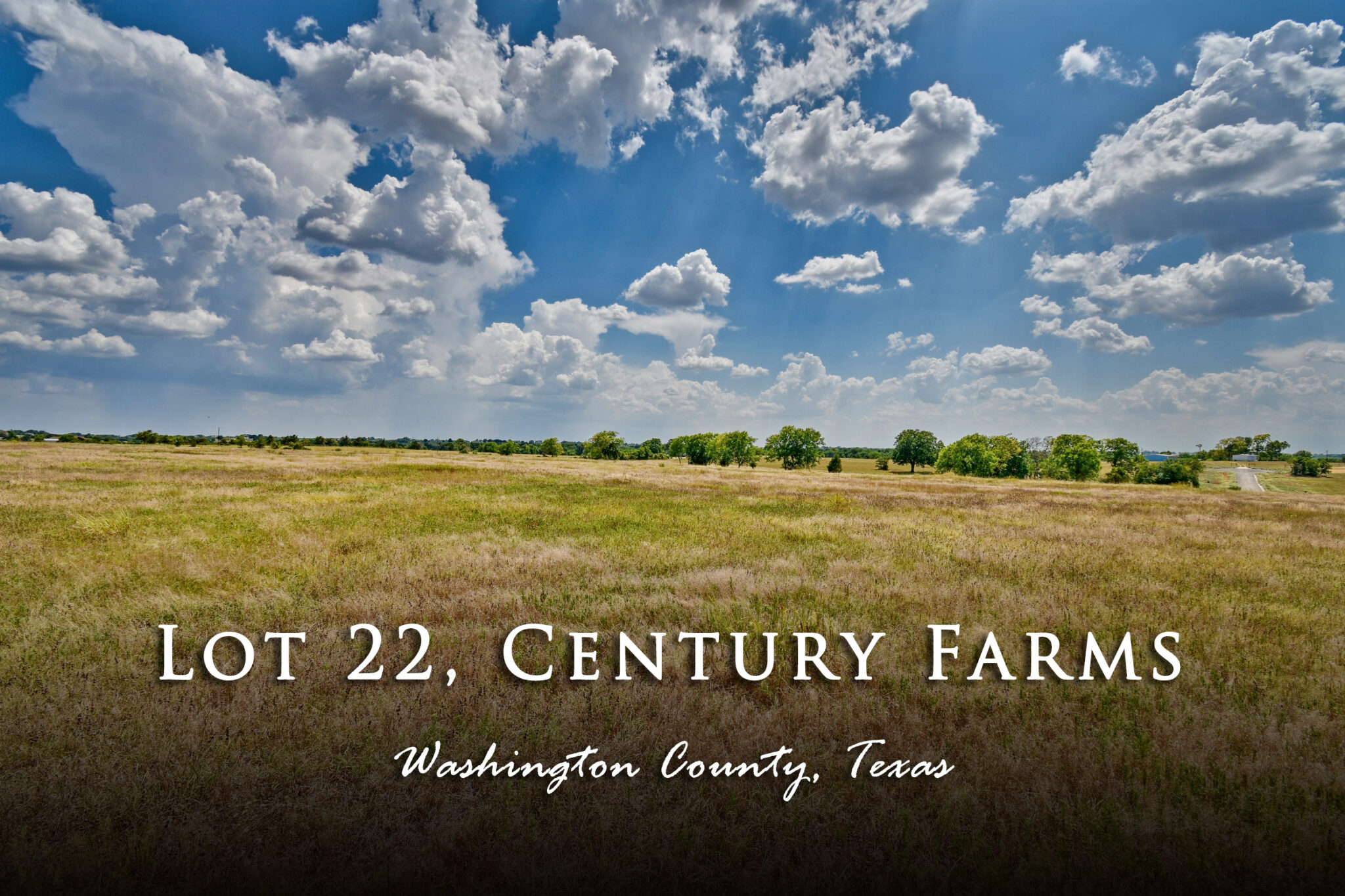 Lot 22 Century Farms