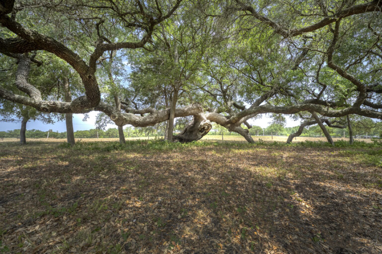 5211 Cedar Hill Road Brenham, Texas