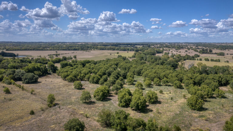 36N Ranch, 4410 Highway 36N Brenham, Texas