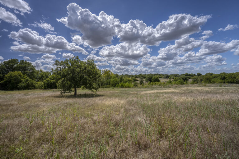 36N Ranch, 4410 Highway 36N Brenham, Texas
