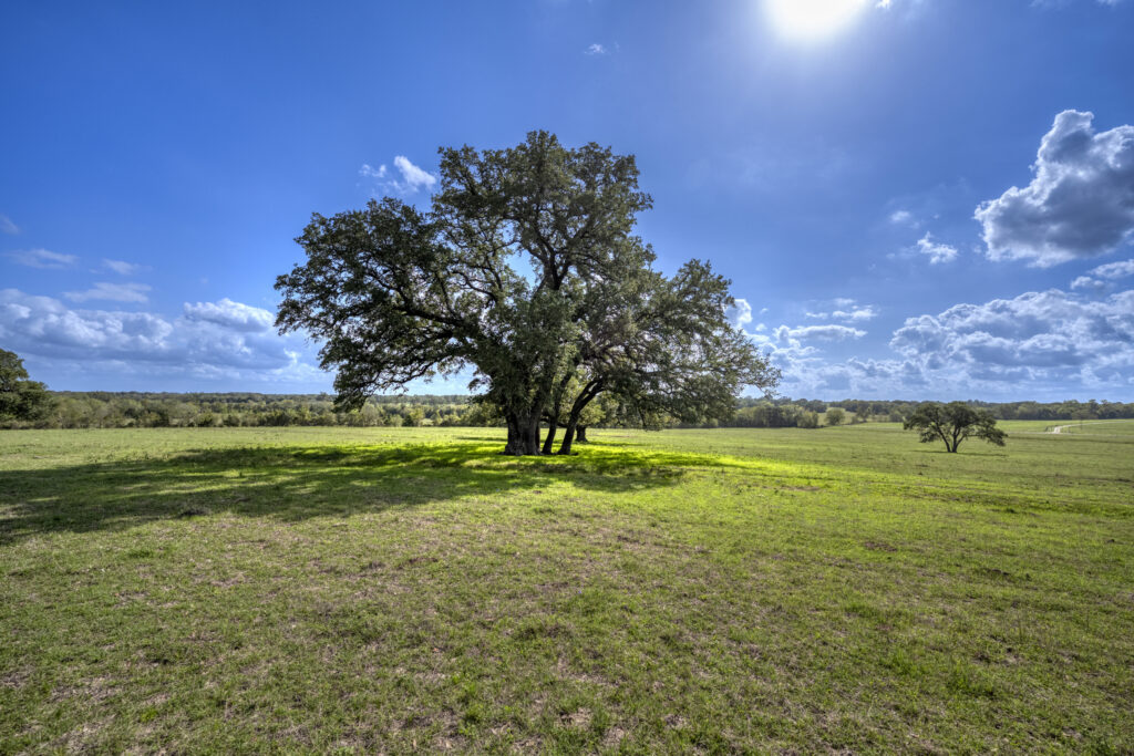 3656 Quail Run Road Brenham, Texas