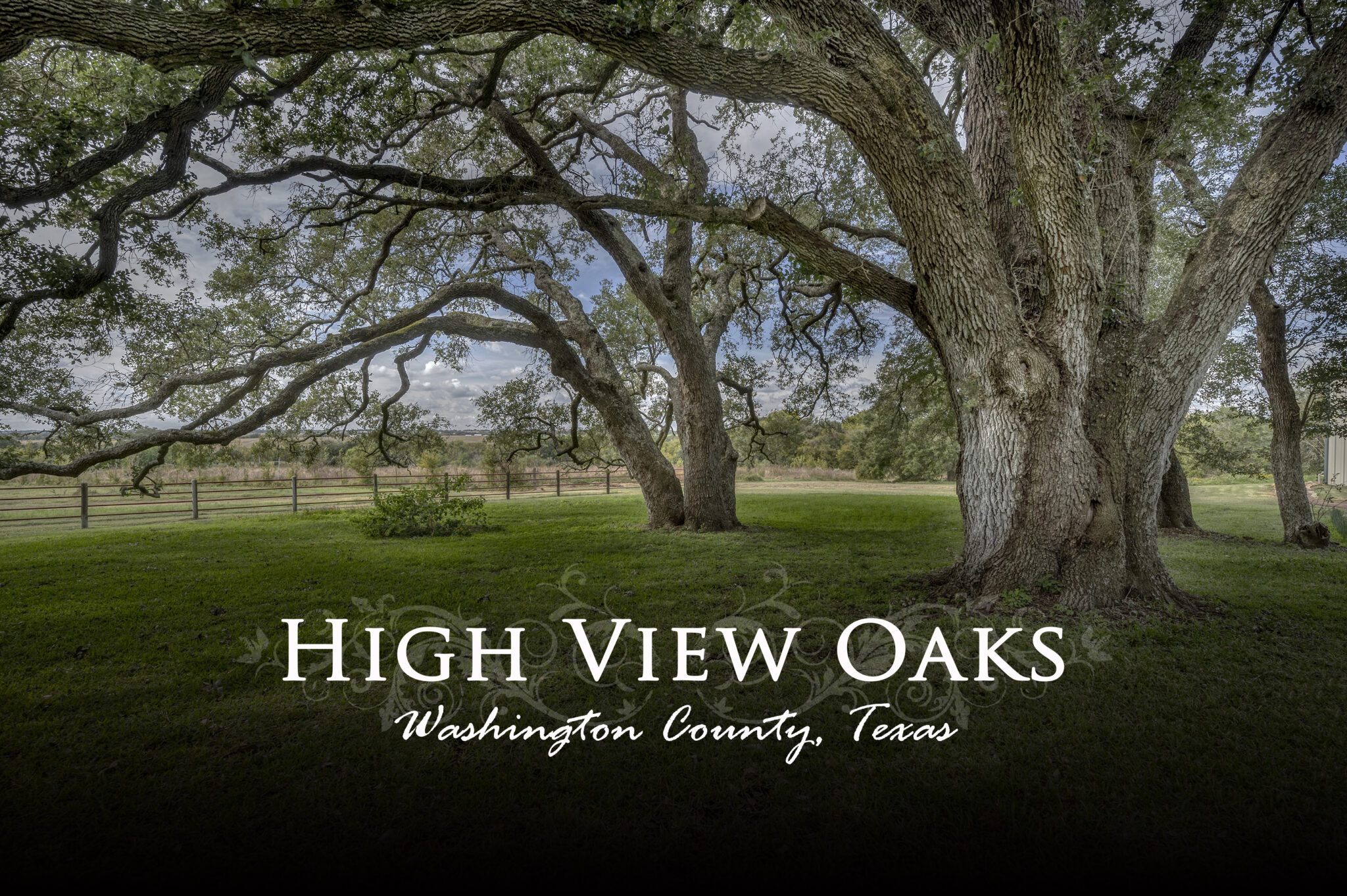 High View Oaks- 9539 FM 2621