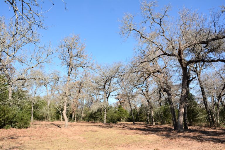 Squirrel Road, New Ulm, Texas 78950