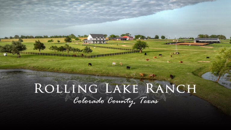 1725 Stokes Road New Ulm, Texas