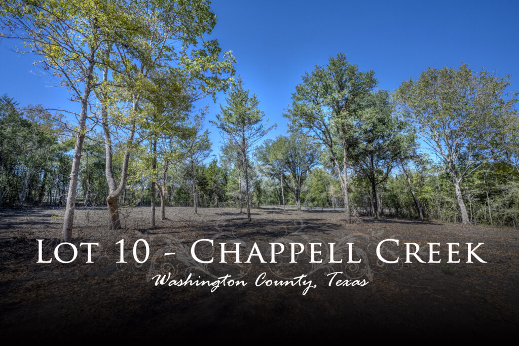 Chappell Creek