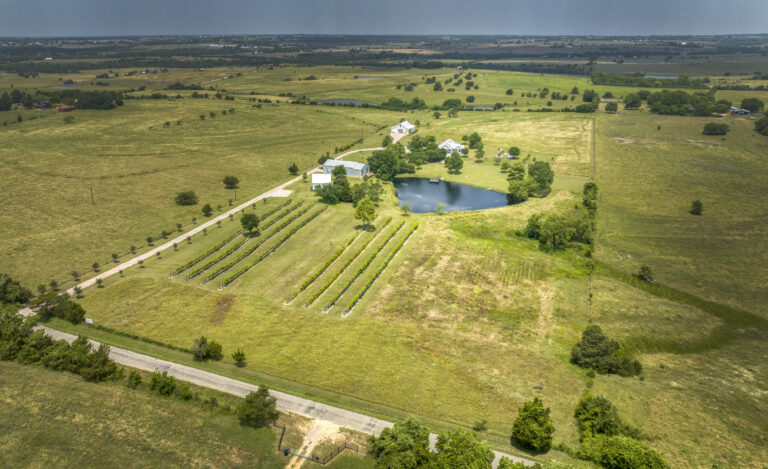 birds-eye-view-North