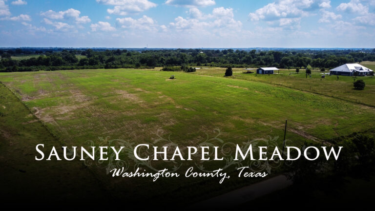Sauney Chapel Road Chappell Hill, Texas 77426