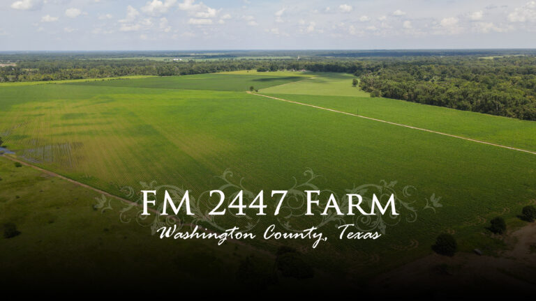 FM 2447 Chappell Hill, Texas 77426