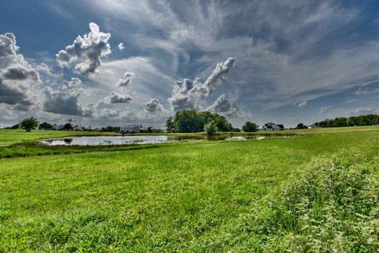 SW Corner - Pond View