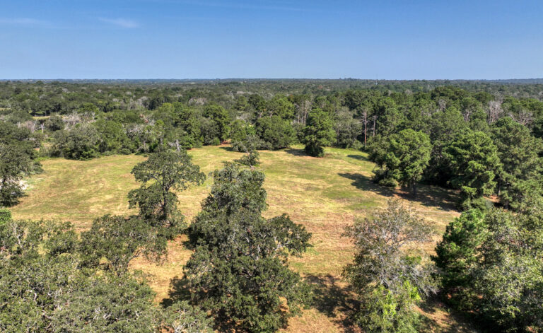 Bellwood Oaks Bellville, Texas 77418