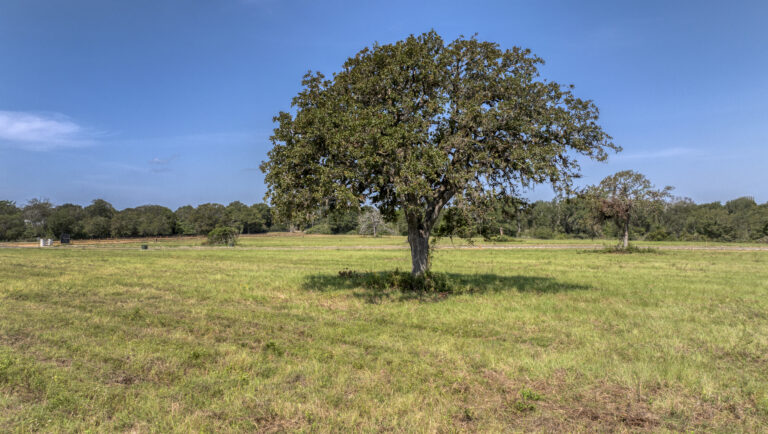 Bellwood Oaks Bellville, Texas 77418