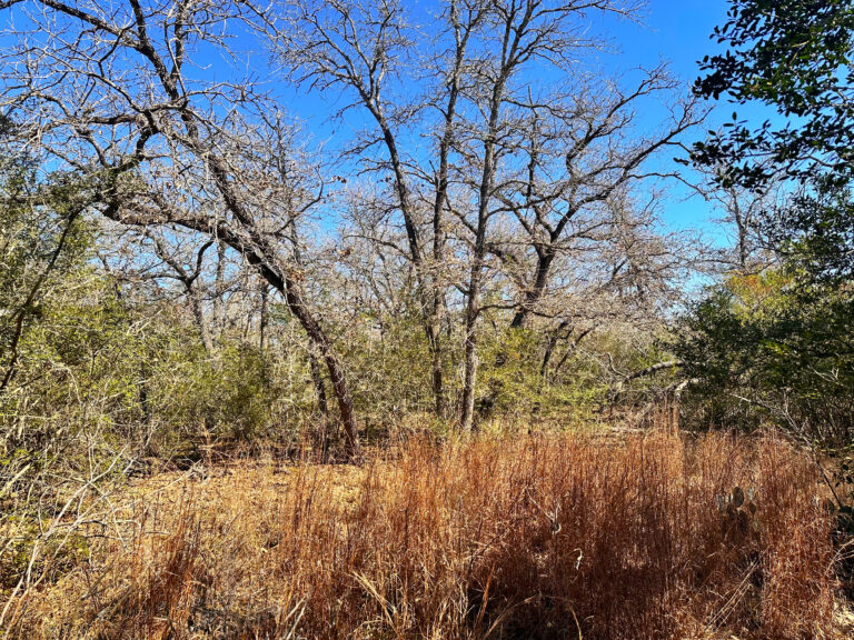 Wood Haven Drive Waelder, Texas 78959
