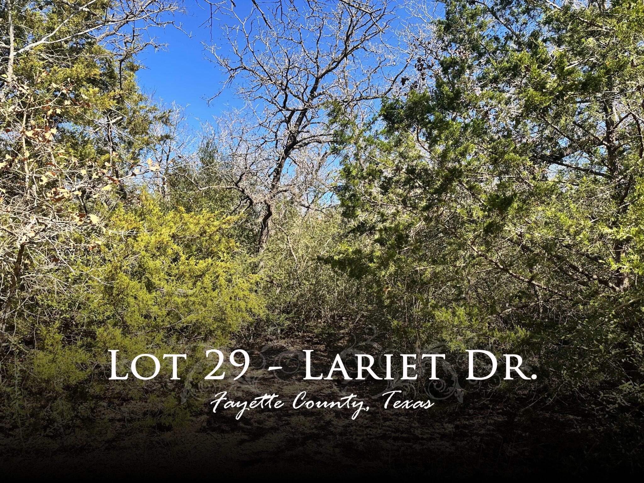 Lariet Drive Waelder, Texas 78959