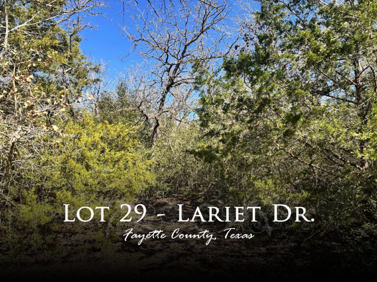 Lariet Drive Waelder, Texas 78959