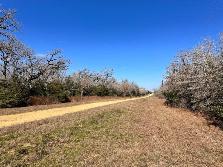 Lariet Drive Waelder, Texas 78959