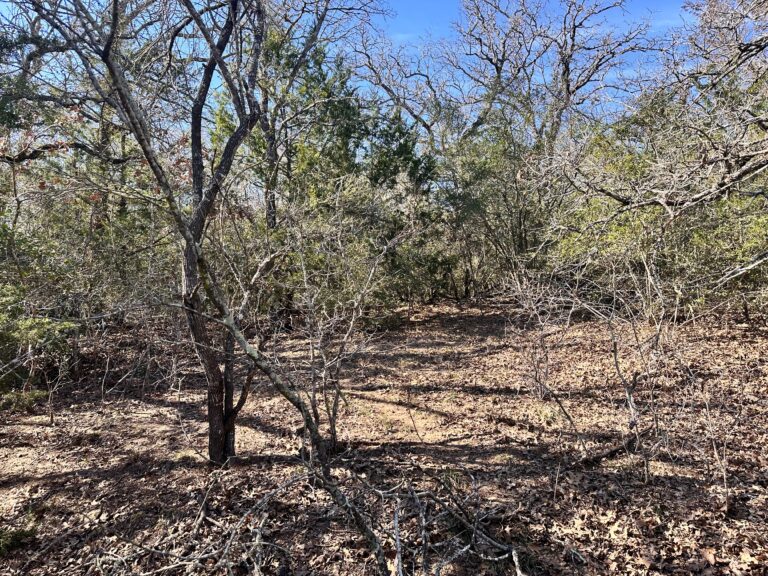 Wood Haven Drive Waelder, Texas 78959