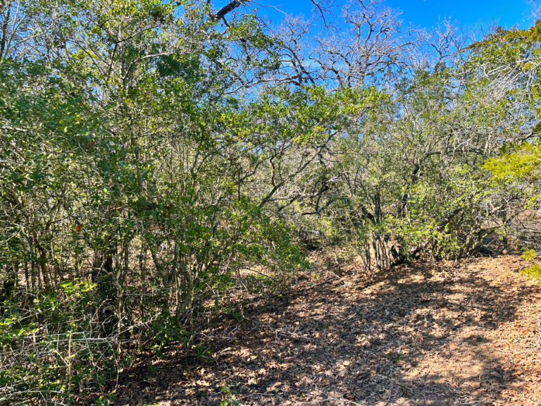 Wood Haven Drive Waelder, Texas 78959