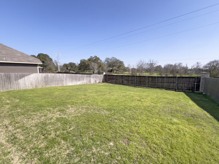 Backyard 3