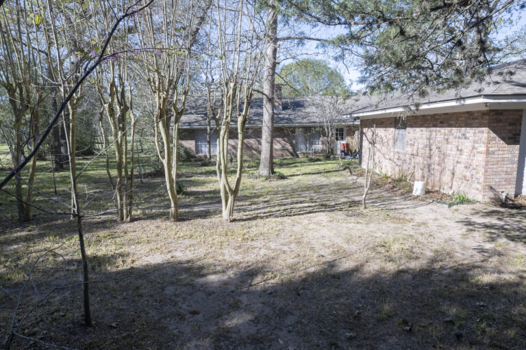 5439-backyard-2