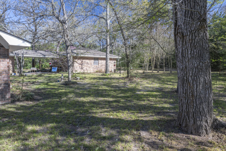5439-backyard-3