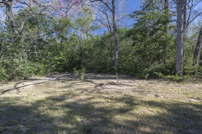 5439-backyard