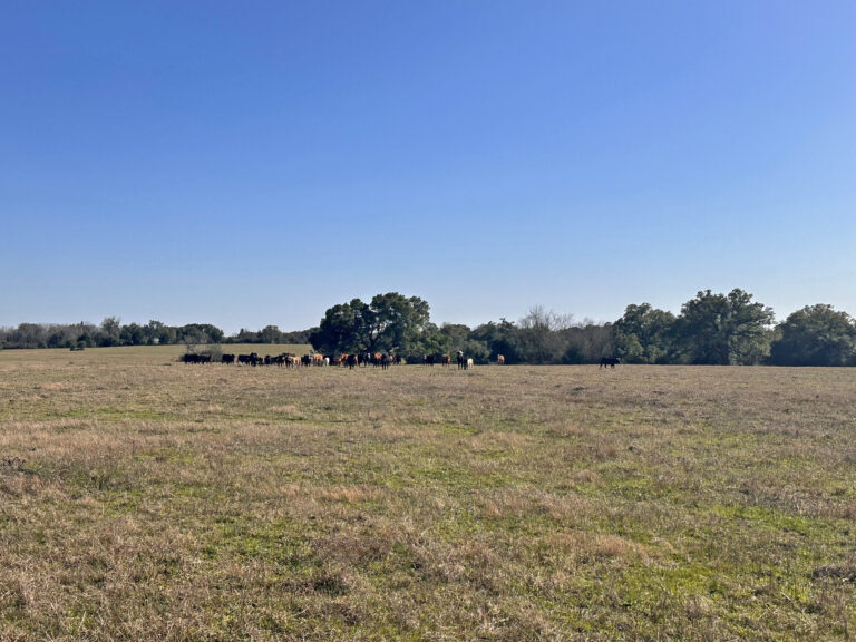 William Penn Road Brenham, Texas 77833