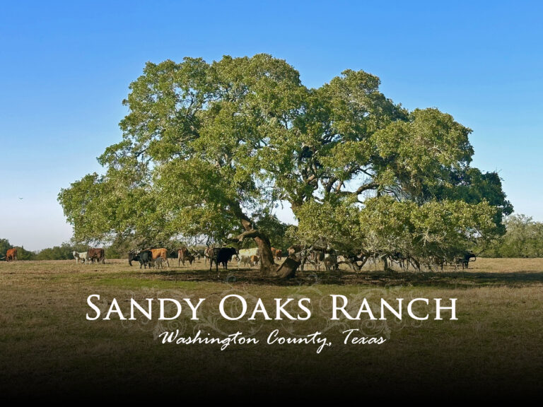 William Penn Road Brenham, Texas 77833