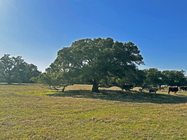 William Penn Road Brenham, Texas 77833