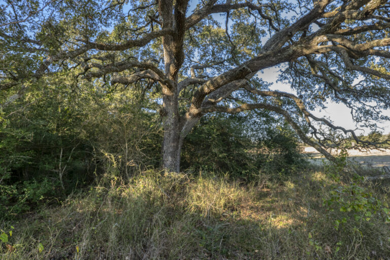 William Penn Road Brenham, Texas 77833