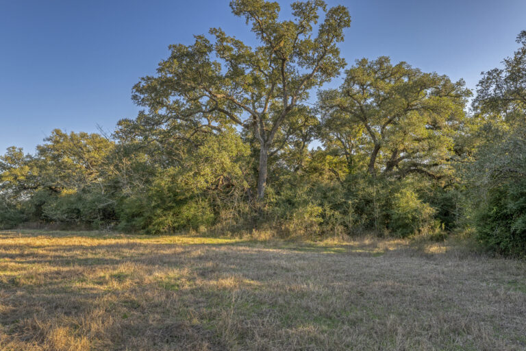 William Penn Road Brenham, Texas 77833