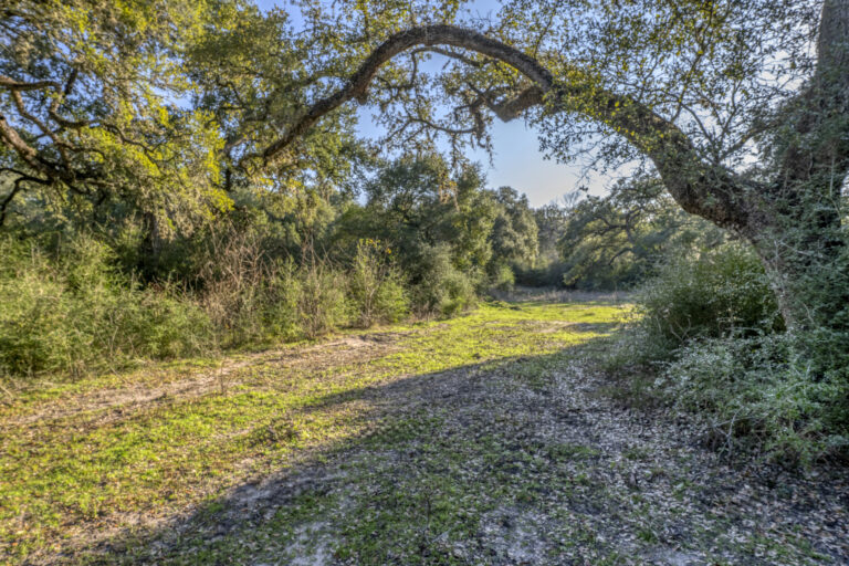 William Penn Road Brenham, Texas 77833