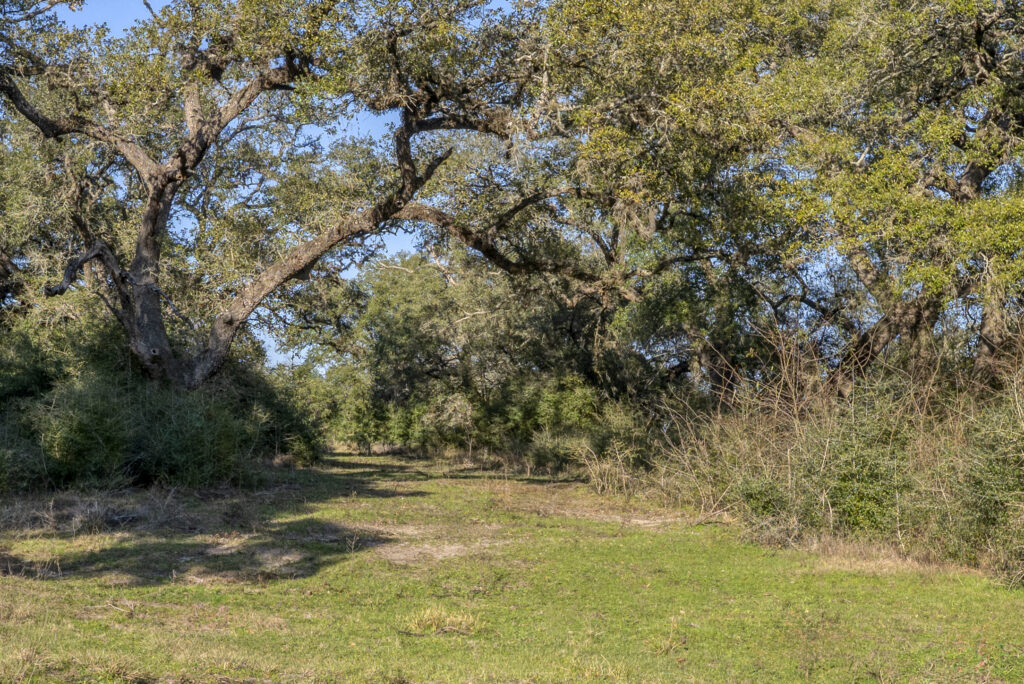 William Penn Road Brenham, Texas 77833