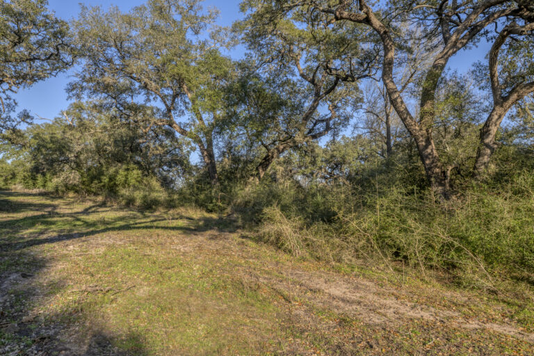William Penn Road Brenham, Texas 77833