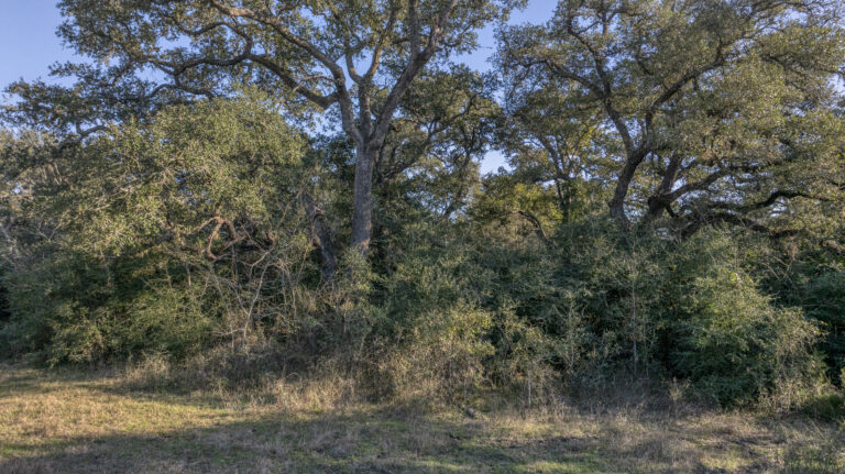 William Penn Road Brenham, Texas 77833