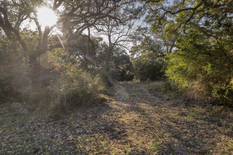 William Penn Road Brenham, Texas 77833