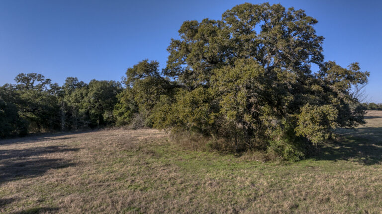 William Penn Road Brenham, Texas 77833